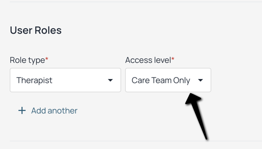 Access Level.png